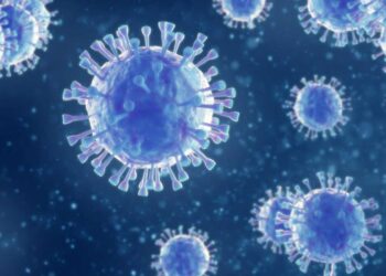 सञ्चार मैंत्री नीति निर्माणमा केन्द्रित छु : मन्त्री गुरुङ