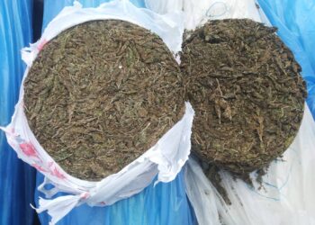 गाँजा सहित गाडी नियन्त्रणमा लिन प्रहरीले गर्यो फायर २ जना पक्राउ