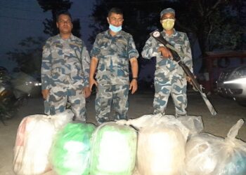 अबैध लागु औषध बरामद