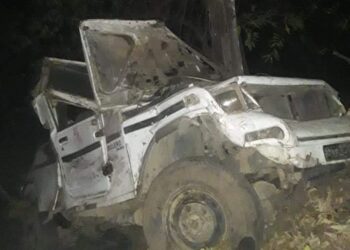 जिप दुर्घटना हुँदा चालकको मृत्यु