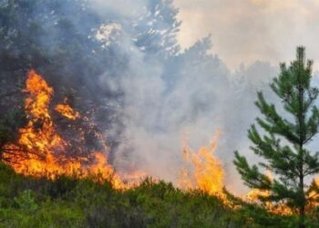 तनमुनामा थ्रेसरबाट आगोलागी हुँदा लाखौको क्षती