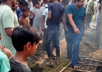 भोक्राहा अन्सारी टोलमा आगलागी