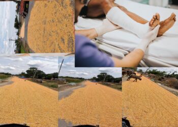 साहेबगंजको किसान बाटोमा मकै सुकाउदै : स्थानीय सरकार मौन