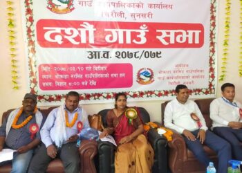 भोक्राहा नरसिंहमा नीति तथा कार्यक्रम प्रस्तुत