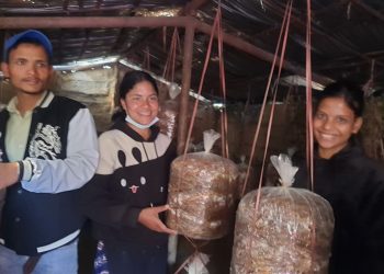 सके सरकारी जागिर नसके आफ्नै कृषि फर्म गर्न सकिने – एलिसा