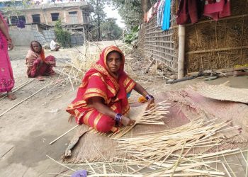 मरिकको मौलिक पेशा बाँसको सामग्री बनाउने र विक्रि गर्ने कार्यमा समस्या