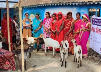 भोक्राहा नरसिंह गाउँपालिकामा बाख्रा वितरण