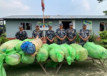 कोशी नदी हुँदै सुनसरी ल्याएर गाँजा तस्करीको सहज रुट बन्दै कोशी नदी