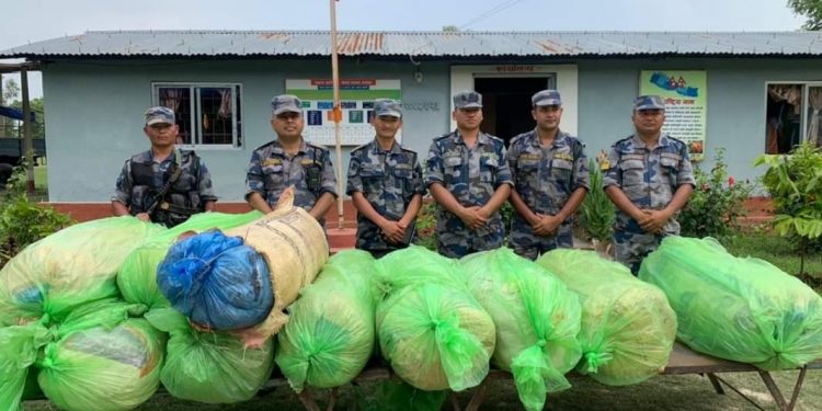 कोशी नदी हुँदै सुनसरी ल्याएर गाँजा तस्करीको सहज रुट बन्दै कोशी नदी