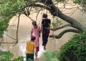 एउटै रुखमा झुन्डिएको अवस्थामा तीन किशोरी मृत फेला