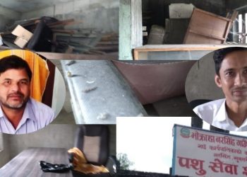 भोक्राहा नरसिंहका पशु चिकित्सकलाई पशु जस्तै व्यवहार