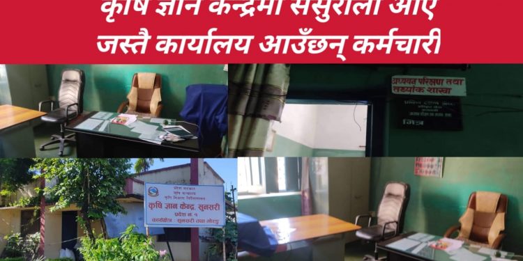 ससुराली आए जस्तै कार्यालय आउँछन् कर्मचारी