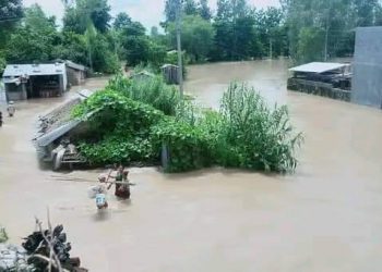 बाढीमा बेपत्ता चाैधरी मृत अवस्थामा फेला मान बहादुर ठकुल्ला