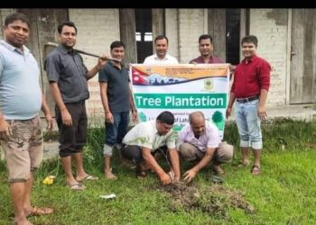 लहान बजारलाई ग्रीन सिटी बनाउन लागेको हो,लायन्स क्लव अफ लहान फुलवारी