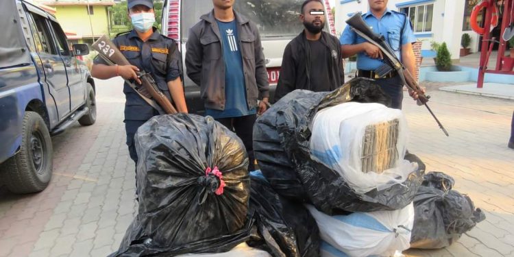 अवैध गाँजा सहित मानिस पक्राउ