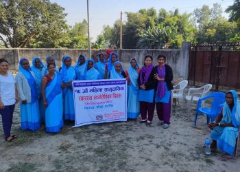 नरसिंहमा महिला स्वास्थ्य स्वयमसेविका दिवश