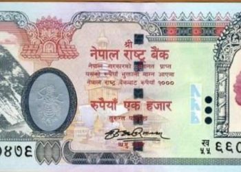 सरकारलाई १ हजार र ५ सय दरको नोटलाई बन्द गर्न अर्थविद्हरूकाे सुझाव