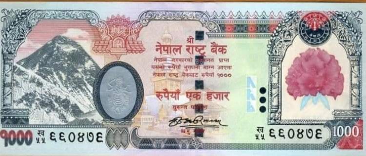 सरकारलाई १ हजार र ५ सय दरको नोटलाई बन्द गर्न अर्थविद्हरूकाे सुझाव