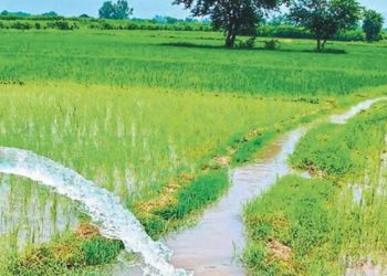 कृषि मिटर जडान गरी विद्युतकाे महसुल गाउँपालिकाले तिरिदिने