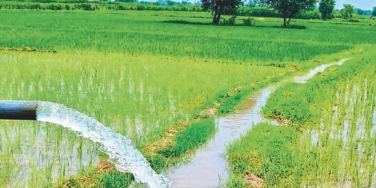 कृषि मिटर जडान गरी विद्युतकाे महसुल गाउँपालिकाले तिरिदिने