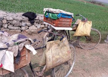 सीमावर्ती क्षेत्रमा माछा आयातमा कडाई