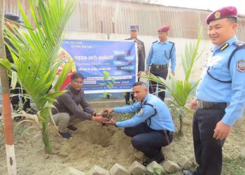 वृक्ष रोपण गरि मनाइयो महाशिवरात्री  