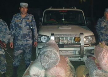 “हामी शिवजीका सन्तान हौं,गाजा रोप्नै पर्दैन