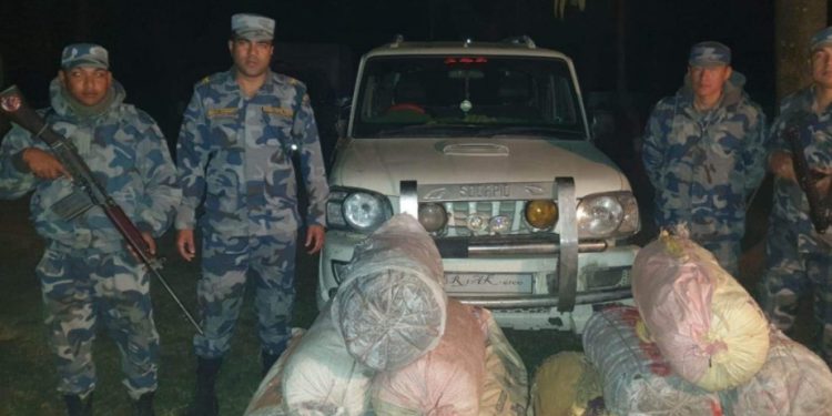 “हामी शिवजीका सन्तान हौं,गाजा रोप्नै पर्दैन