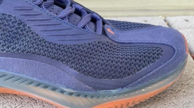 कृषि ज्ञान केन्द्र सुनसरीमा यसरी भयाे जुता हानाहान ?