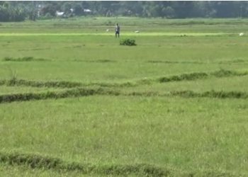 कृषियोग्य बाँझो जमिनबारे अध्ययन गर्न एक कार्यदल गठन