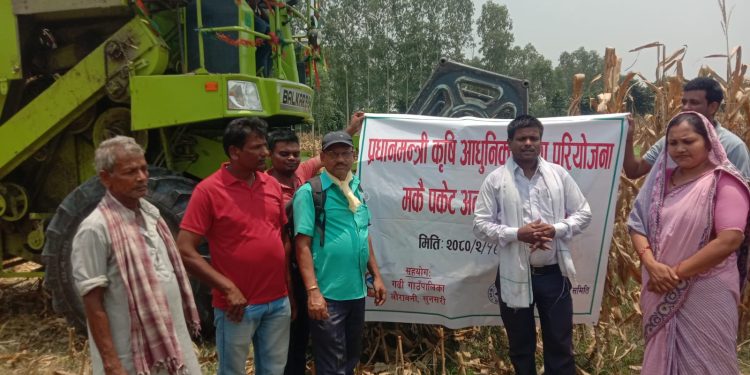 गढीमा हार्वेस्टर आएपछि मकैं किसानलाई राहत