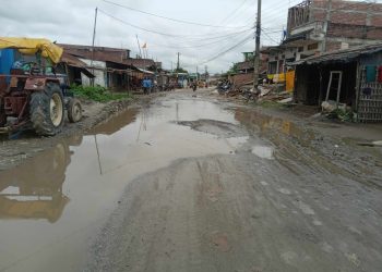 देवानगञ्ज- इनरूवा सडक खण्डको अवस्था जीर्ण, सम्बन्धित निकाय माैन