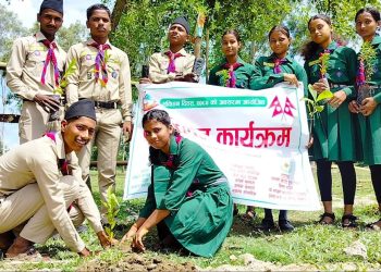 नरसिंहमा वृक्षारोपण गरी संविधान दिवस मनाइयो