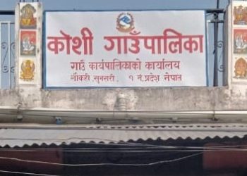 कोशी गाउँपालिकामा इन्धन खर्च र इन्धन वितरणमा ब्यापाक अनियमितता