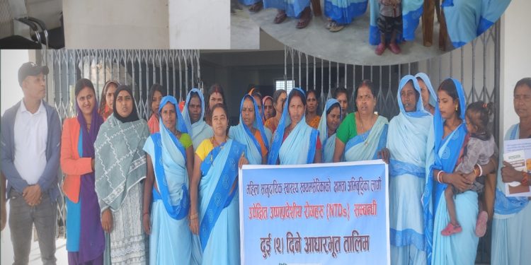 भाेक्राहा नरसिंहमा स्वास्थ्य स्वयंसेविकाहरूकाे लागि आधारभूत तालिम सम्पन्न