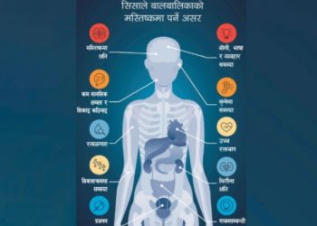 बालबालिकाको रगतमा यसरी पुग्दैछ सिसा ?