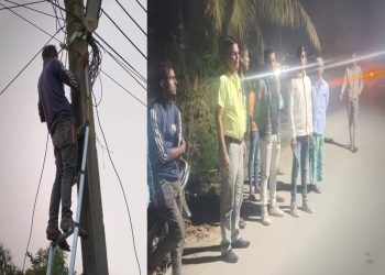 भाेक्राहा नरसिंहमा पाेलबत्ती जडान कार्य सुरु