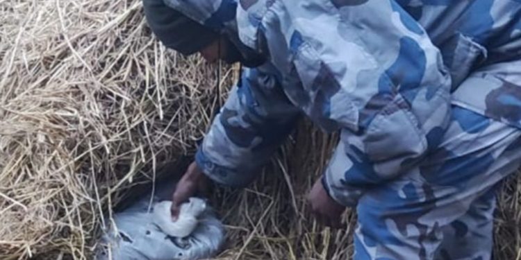 सुनसरीबाट ३३ केजी गाँजा बरामद