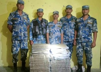 सुनसरीबाट मध्यराती एक क्विन्टल गाँजा बरामद