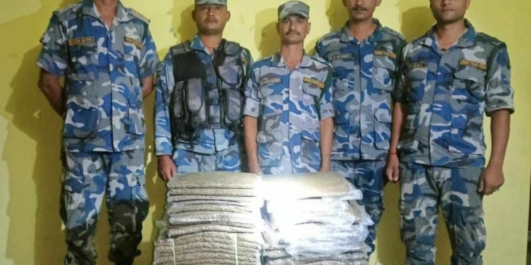 सुनसरीबाट मध्यराती एक क्विन्टल गाँजा बरामद