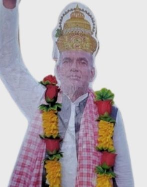 मेयरको तस्बिरमा माला लगाएर टाउकोमा भगवानको मुर्तीमा जस्तै मुकुट लगाइदिए ?