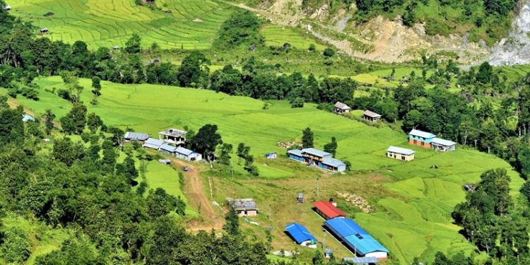 महाभारत सहित पाँच वटा पालिकाको बेरुजू शून्य