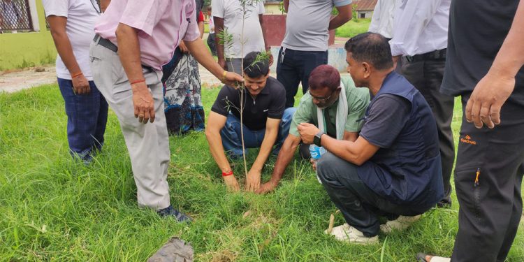 गणतन्त्र दिवसको अवसरमा वृक्षारोपण