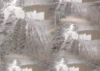 भन्टाबारी: सडकको दयनीय अवस्था र स्थानीय निकायको उदासीनता