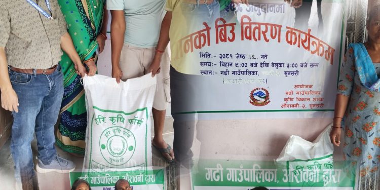 गढी गाउँपालिकामा किसानहरूलाई उन्नत जातका धान बीउ वितरण