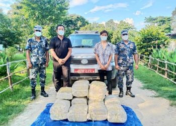 सुनसरीमा लागू औषध तस्करीको वृद्धि: बबियाबाट १ सय १५ किलो गाँजा बरामद