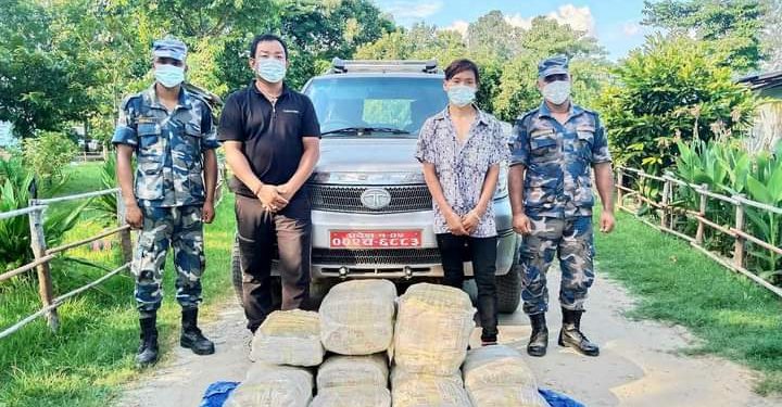 सुनसरीमा लागू औषध तस्करीको वृद्धि: बबियाबाट १ सय १५ किलो गाँजा बरामद