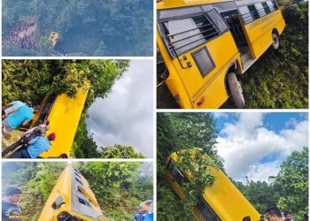 स्कुल बस दुर्घटना अपडेट : आरतीको मृत्यु, चालकसहित २८ जना घाइते (पूरा नामविवरणसहित)