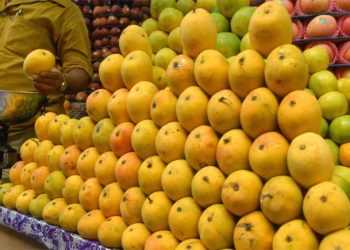 आँपको उत्पादनमा कमी