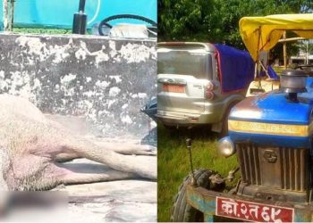 बँदेलसहित पक्राउ परेका पूर्व डिआइजीसहित १० जना जमानीमा रिहा